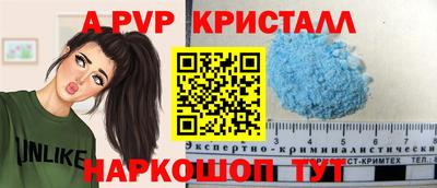 амф Сланцы