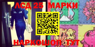 амф Сланцы