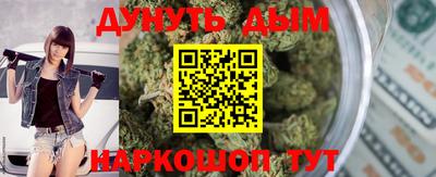 амф Сланцы