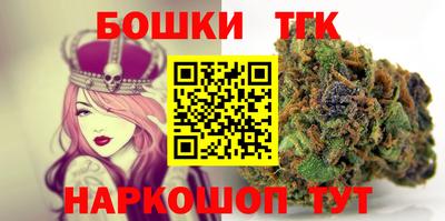 амф Сланцы