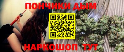 амф Сланцы