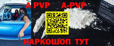 амф Сланцы