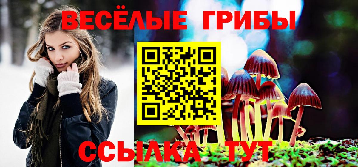 Псилоцибиновые грибы Cubensis Нижневартовск