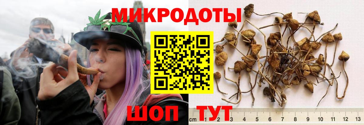 Нижневартовск  Псилоцибиновые грибы мицелий  Галлюциногенные грибы ЛСД  Вход с VPN 